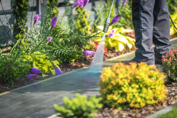 Best Spring Cleaning  in Oak Hills Pce, LA