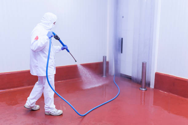 Best Pool Deck Cleaning  in Oak Hills Pce, LA